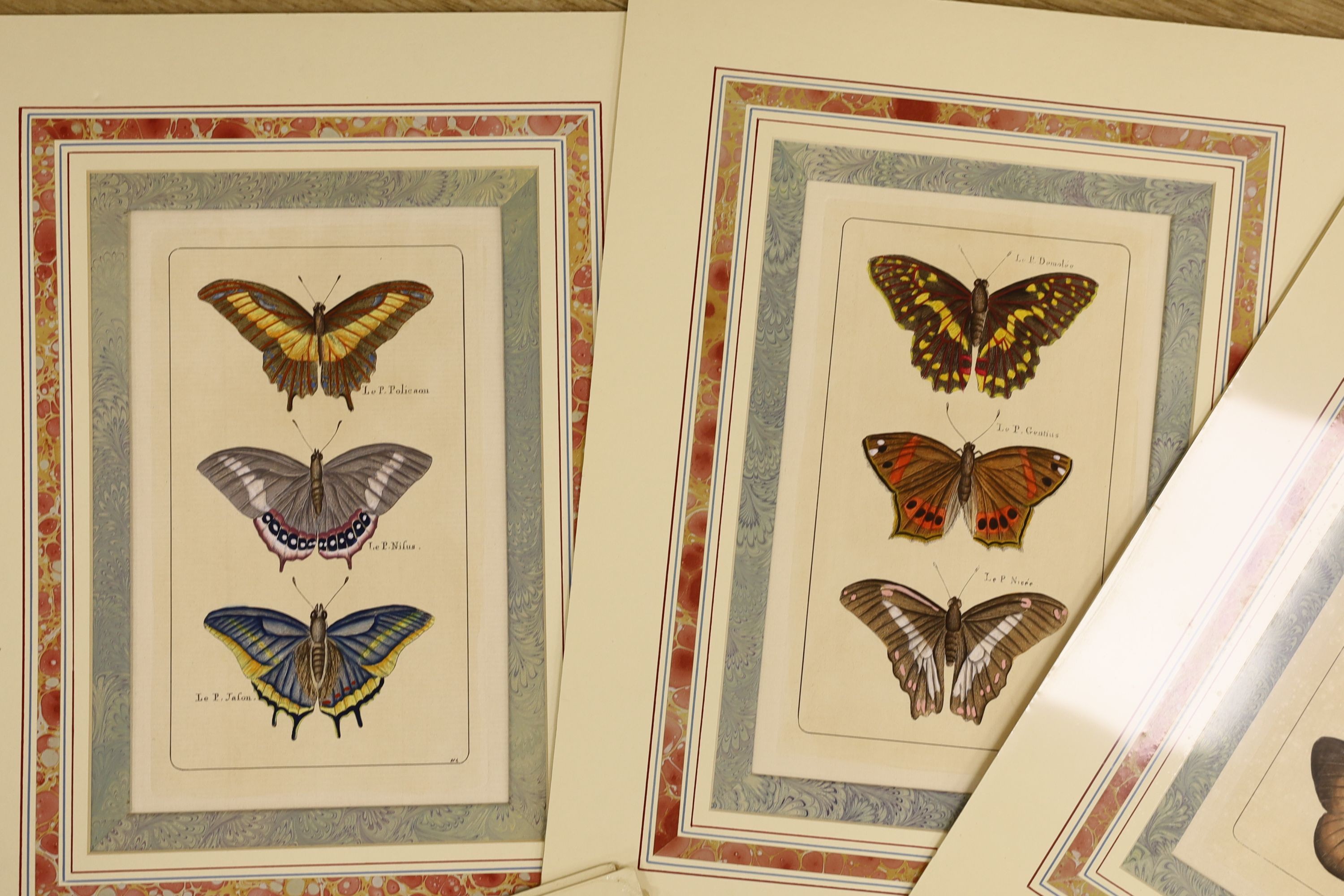 19th century French School, a set of ten hand coloured engravings, Studies of butterflies, 24 x 15cm, unframed